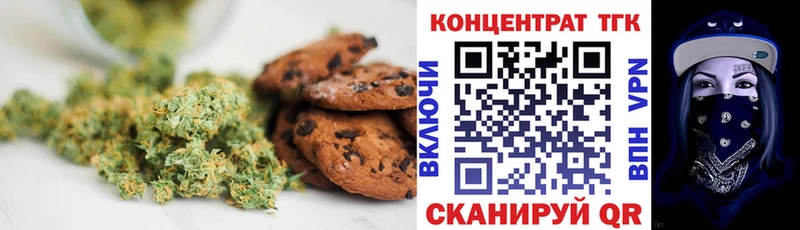 где купить наркотик  Сясьстрой  Еда ТГК марихуана 