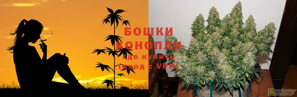 МДПВ Алексеевка