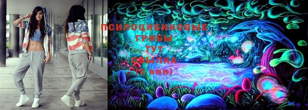 МДПВ Алексеевка